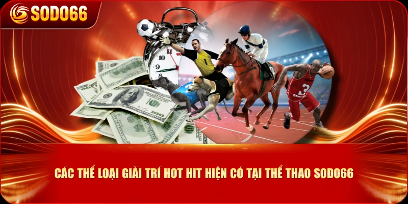 Các thể loại giải trí hot hit hiện có tại Thể Thao SODO66
